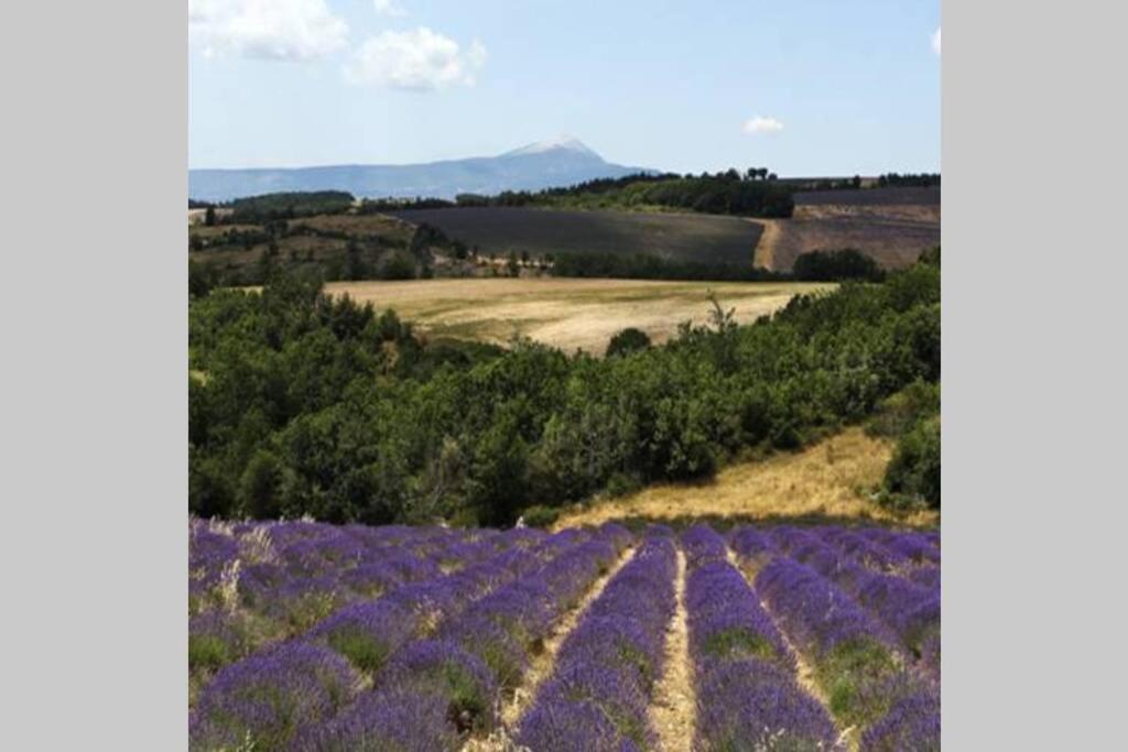 Chambre D Hotes Dans Le Vaucluse Мазан Экстерьер фото